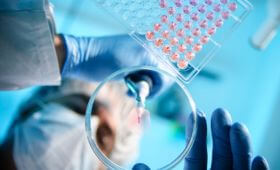 Flyers / Forensic & Toxicology